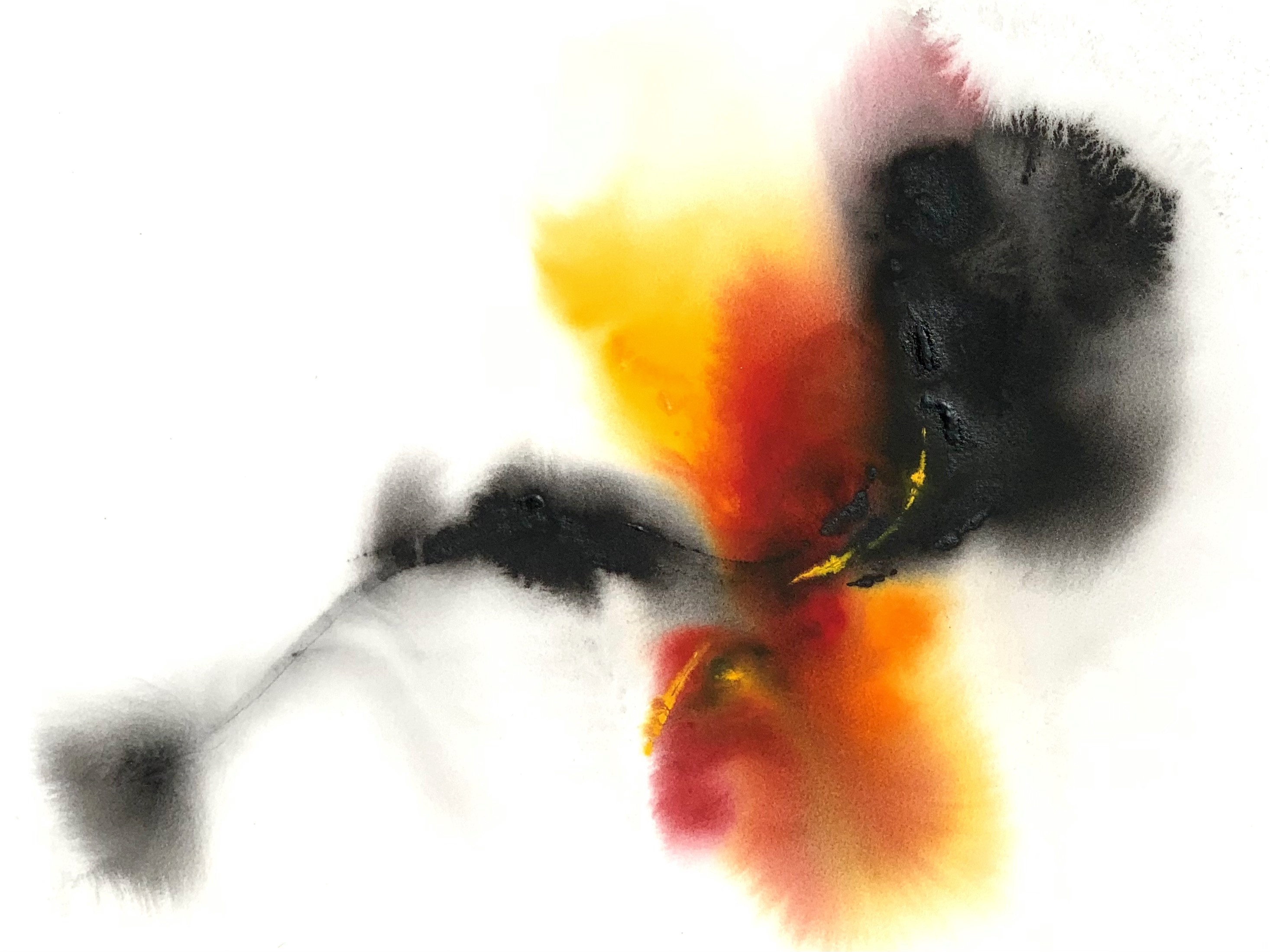 Peinture faite par Isabella Beffa-Paul